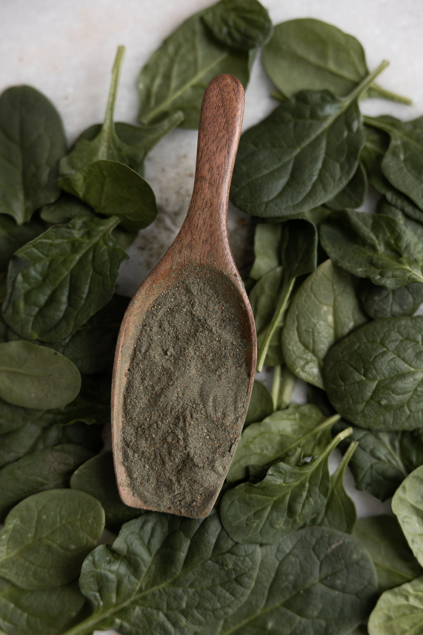 Regenerate Superfood Powder, 30 servings